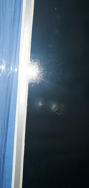 Dallas Cowboys Framed Ezekiel Elliott Autographed 16x20 Photo (BAS)