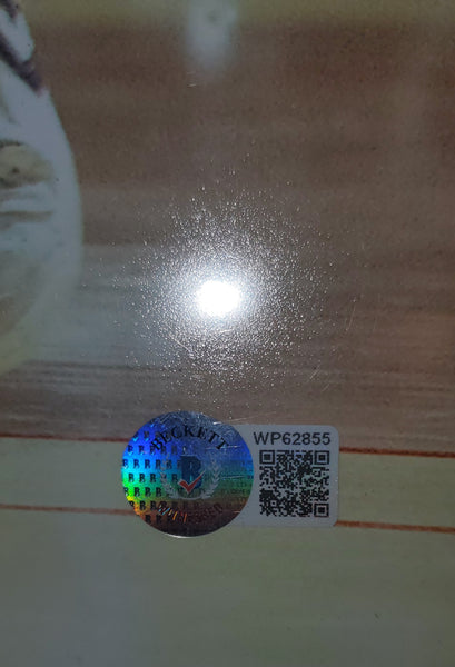 Boston Celtics/Los Angeles Lakers Larry Bird & Magic Johnson LED Framed Autographed 16x20 Photo with Suede (BAS)