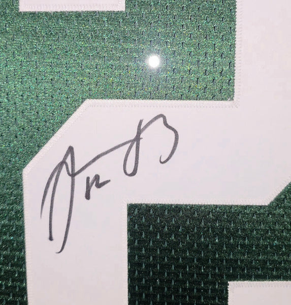 Green Bay Packers Aaron Rodgers Framed Autographed Authentic Nike Jersey with Suede (Fanatics)