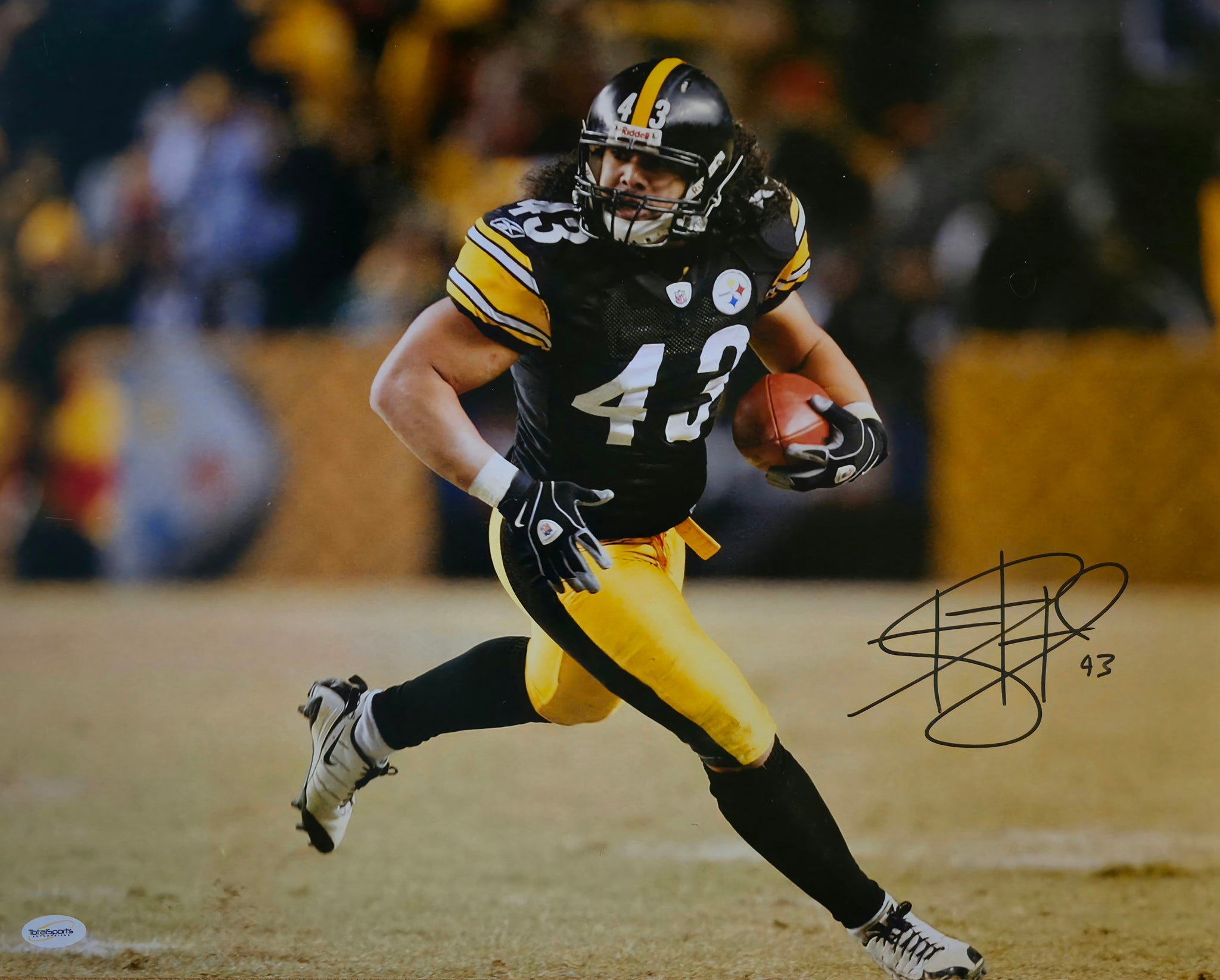 Troy Polamalu Autographed 16x20 (TSE)