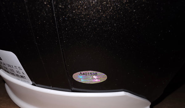 Atlanta Falcons Michael Vick Autographed Full Size Speed Replica Helmet (Scwartz)