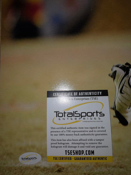 Troy Polamalu Autographed 16x20 (TSE)