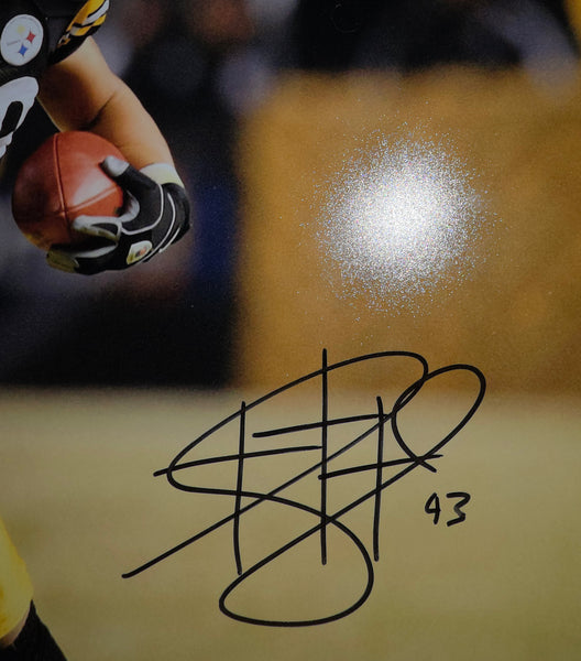 Troy Polamalu Autographed 16x20 (TSE)