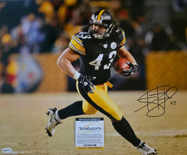 Troy Polamalu Autographed 16x20 (TSE)