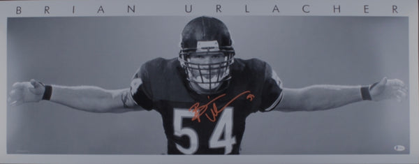 Chicago Bears Brian Urlacher Autographed 16x40 poster (Beckett)